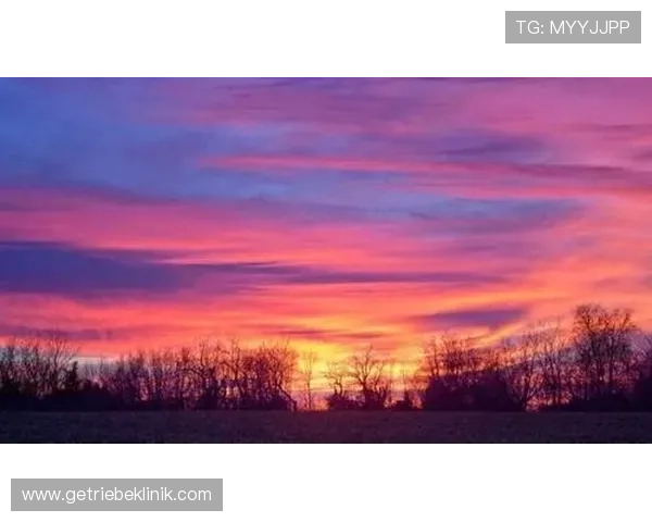 AG亚游平台注册指南介绍：注册过程中常见的困难及应对技巧分析